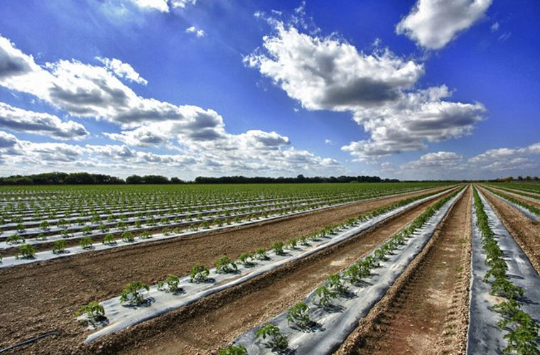 Ott instruments for agriculture and irrigation water monitoring